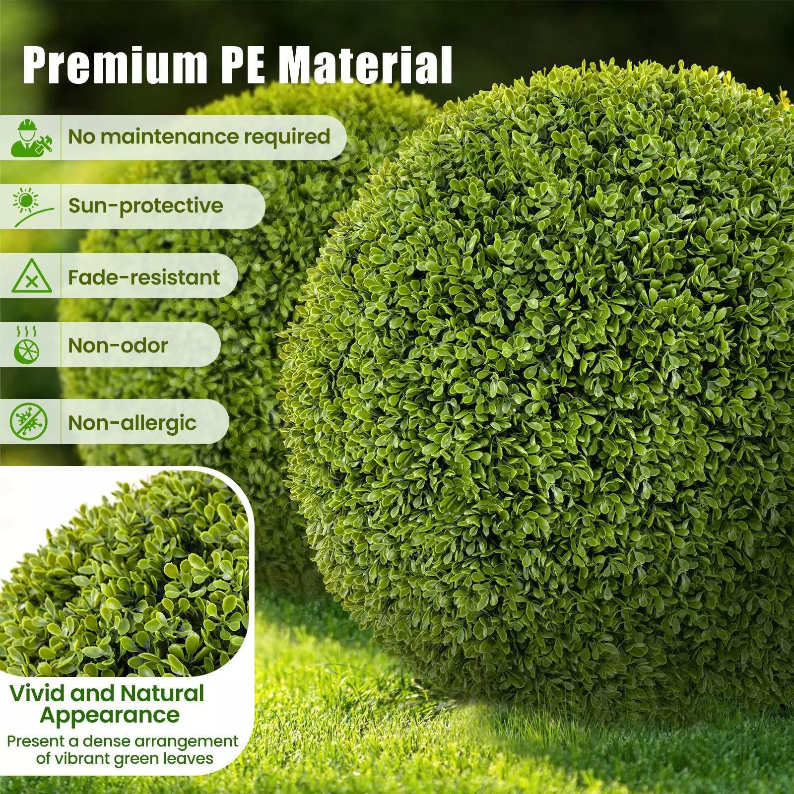 1+1 GRATIS | GreenSphere | Immergrüner Charme für Haus &amp; Garten
