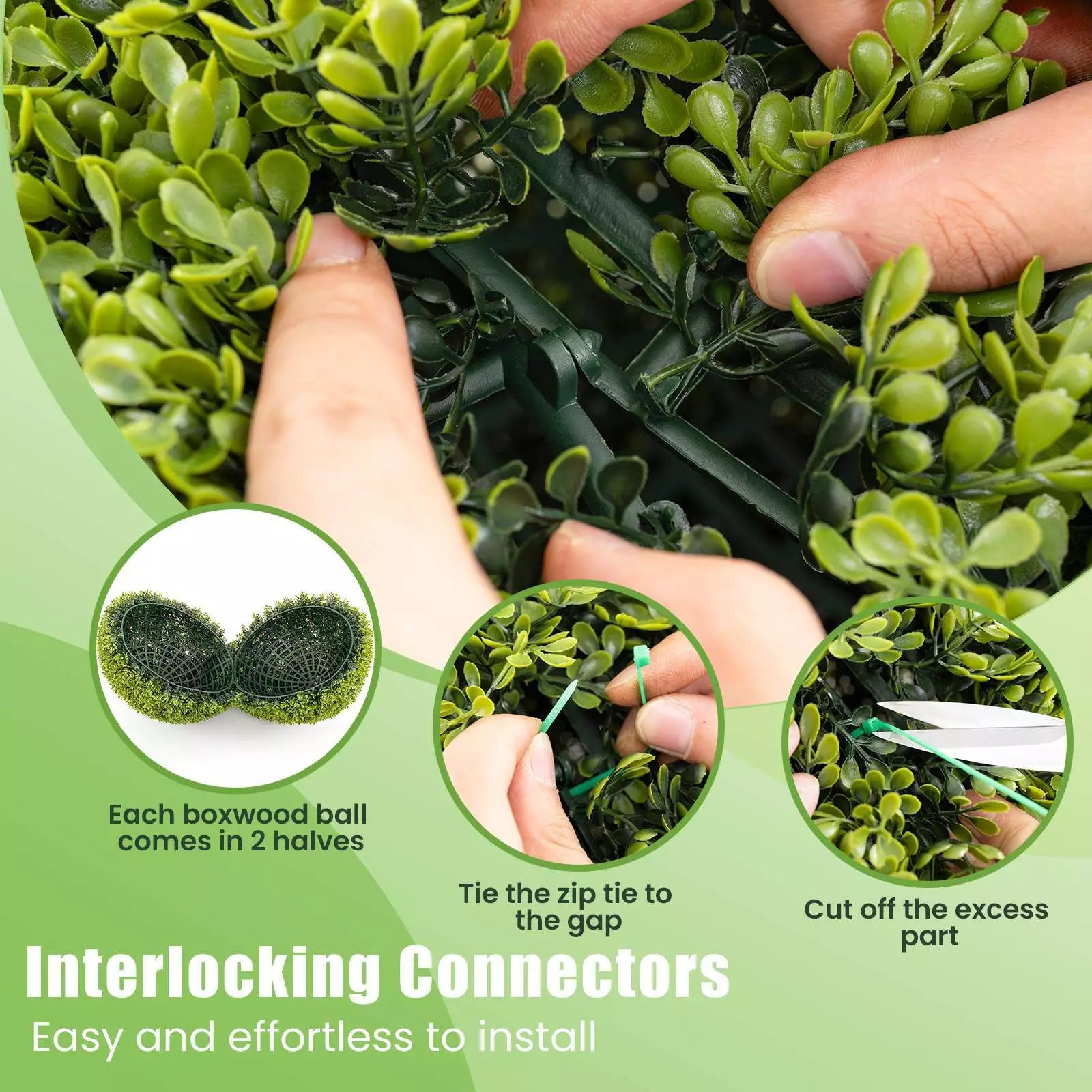 1+1 GRATIS | GreenSphere | Immergrüner Charme für Haus &amp; Garten