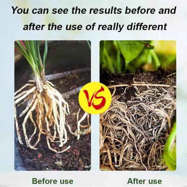 RootPro | Starkes Bewurzelungspulver für gesunde Pflanzenwachstums