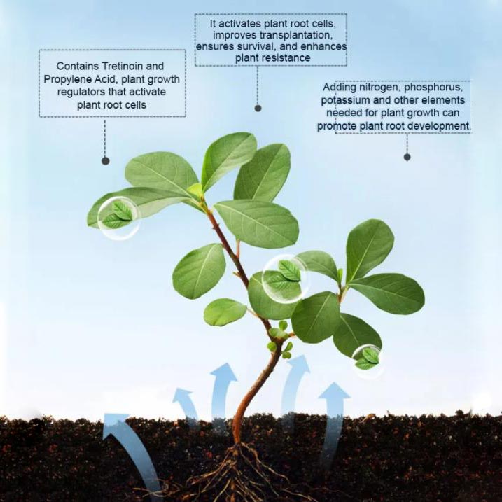 RootPro | Starkes Bewurzelungspulver für gesunde Pflanzenwachstums