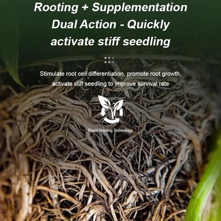 RootPro | Starkes Bewurzelungspulver für gesunde Pflanzenwachstums