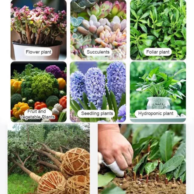 RootPro | Starkes Bewurzelungspulver für gesunde Pflanzenwachstums