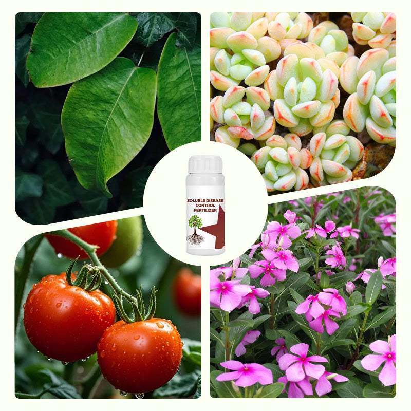 1+1 Gratis | PlantShield™ | 130ml Löslicher Pflanzendünger mit Krankheitsabwehr